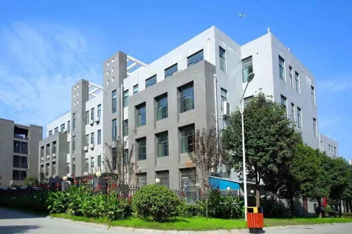 大势起，观未来——原创女装品牌“铭鸿一族”与箱包风尚推荐